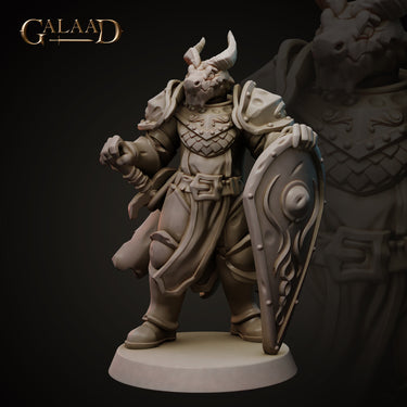 Shield Knight Bundle